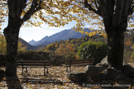 Valley Autumn 