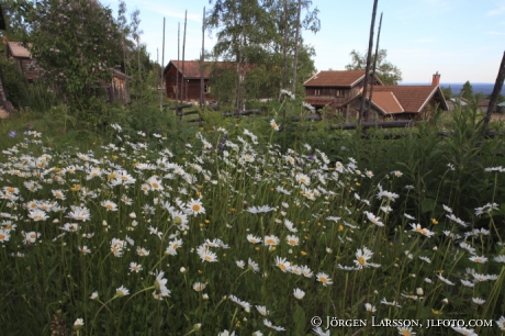 Fryksas Dalarna Sweden