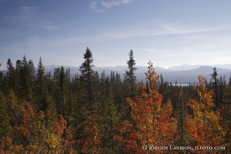 Autumn in the mountains