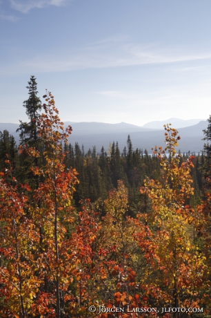 Autumn in the mountains