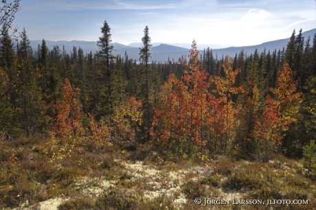 Autumn in the mountains