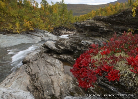 Ruttjebacken Lappland