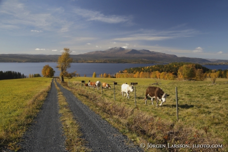 Åreskutan