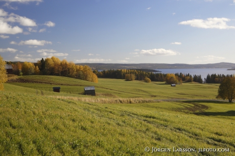 Fields at Kall