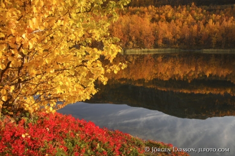 Vassejaure Lappland Sweden