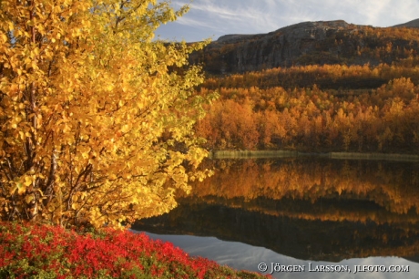 Vassejaure Lappland Sweden