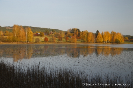 Houses lake autumn