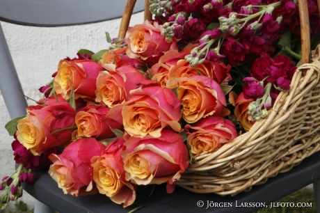 Mixed Flowers Roses