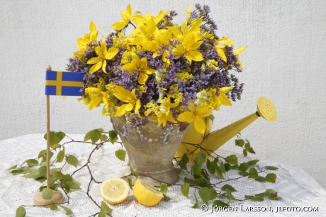 Arrangerade blommor med vilda Tulpaner