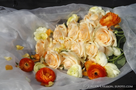 Arrangerade blommor Rosor