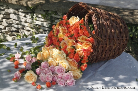 Arrangerade blommor Rosor i korg