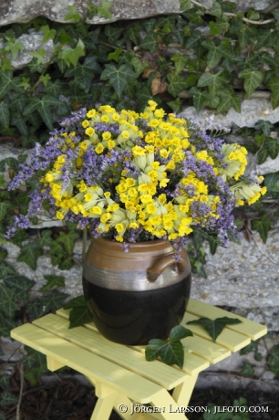 Mixed Flowers Cowslip