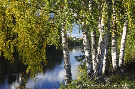 Jarvso  Halsingland Sweden