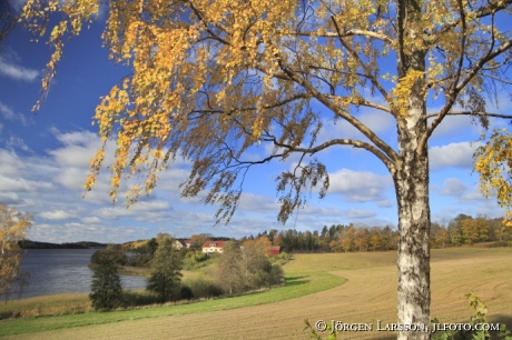 Bogsta Sodermanland Sweden