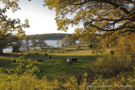 Segersgarde Gamleby Smaland Sweden