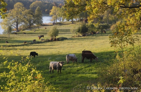 Segersgarde Gamleby Smaland Sweden