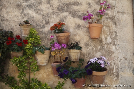 Mallorca Valldemossa Spain