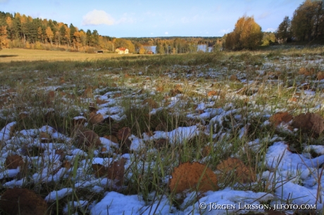 Vallinge Sodermanland Sweden