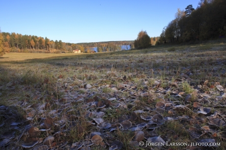 Vallinge at Malaren  Sodermanland Sweden 