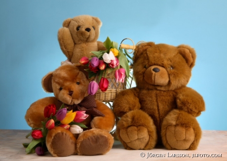 Teddybjörnar med tulpaner