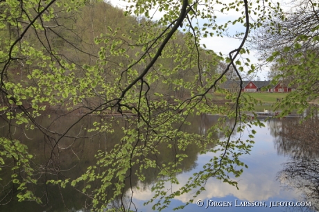 Saralid Soderasen nationalpark Skane Sweden