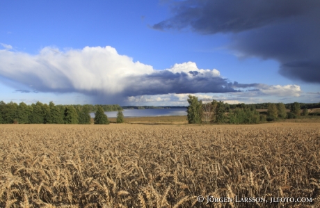 Storsjon Bjornlunda Sodermanland Sweden 