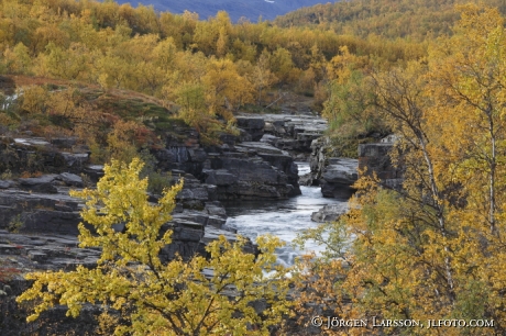 Canjon in autumn