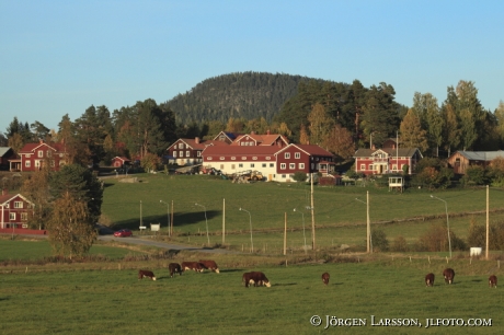 Jarvso Halsingland Sweden