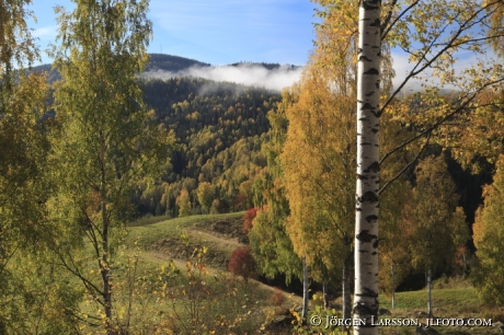 Indalsalven Medelpad Sweden