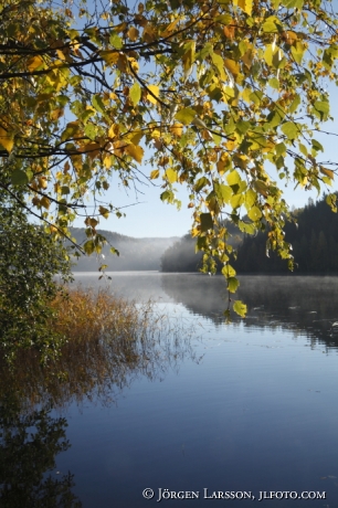 Nordingra Angermanland Sweden