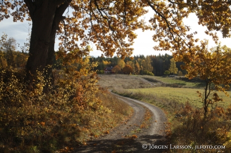 Dirt road Bjornlunda Sodermanland Sweden