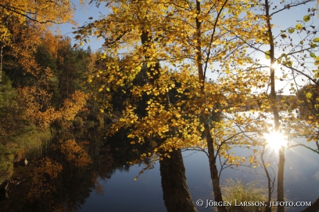 Lockvattnet  Bjornlunda Sodermanland Sweden