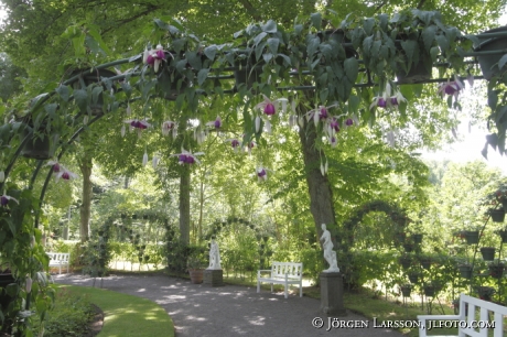 Garden at Soliden Oland Sweden